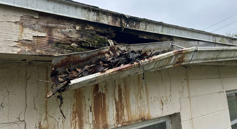 Damaged sagging gutter with rotted fascia board on a Florida home before repair
